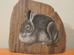 Bunny On a Board by Legrandzilla