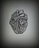 Dotwork heart tattoo sketch
