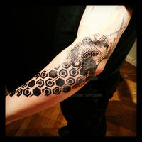 Polygon sleeve continued