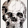 3d skull