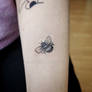 Lil bee