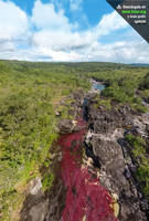 Piscina del Turista en Cano Cristales