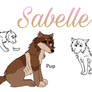 DotW tryout Sabelle