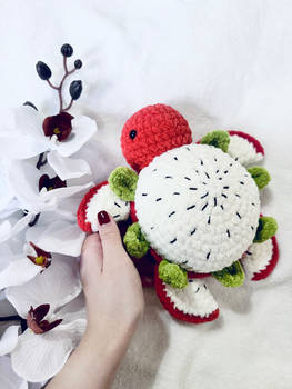 Dragon fruit turtle