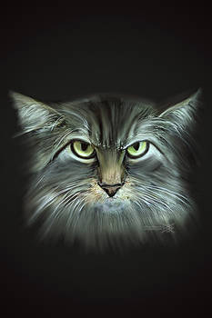 Digital Art Angry cat