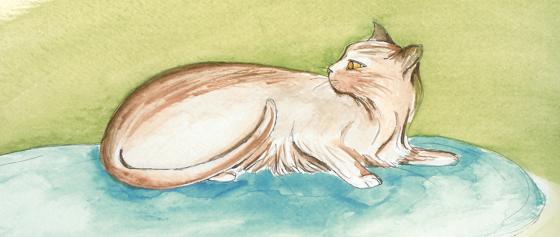 Watercolor Cat