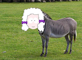 Xenizebra