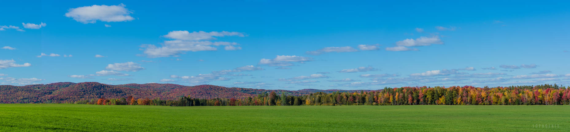 Autumn panoramic view