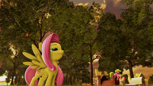 Fluttershy