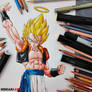 SSJ Gogeta || Dragon Ball Z: Fusion Reborn