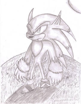 sonic the werehog redo