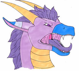 Head Shot of Shimer full dragon