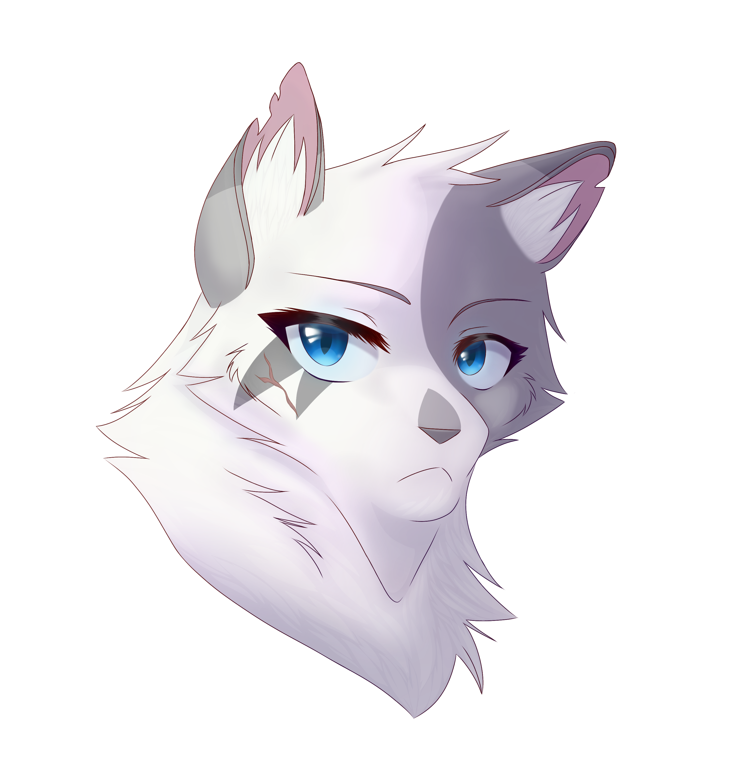 Ivypool Design Warrior Cats Ivypool