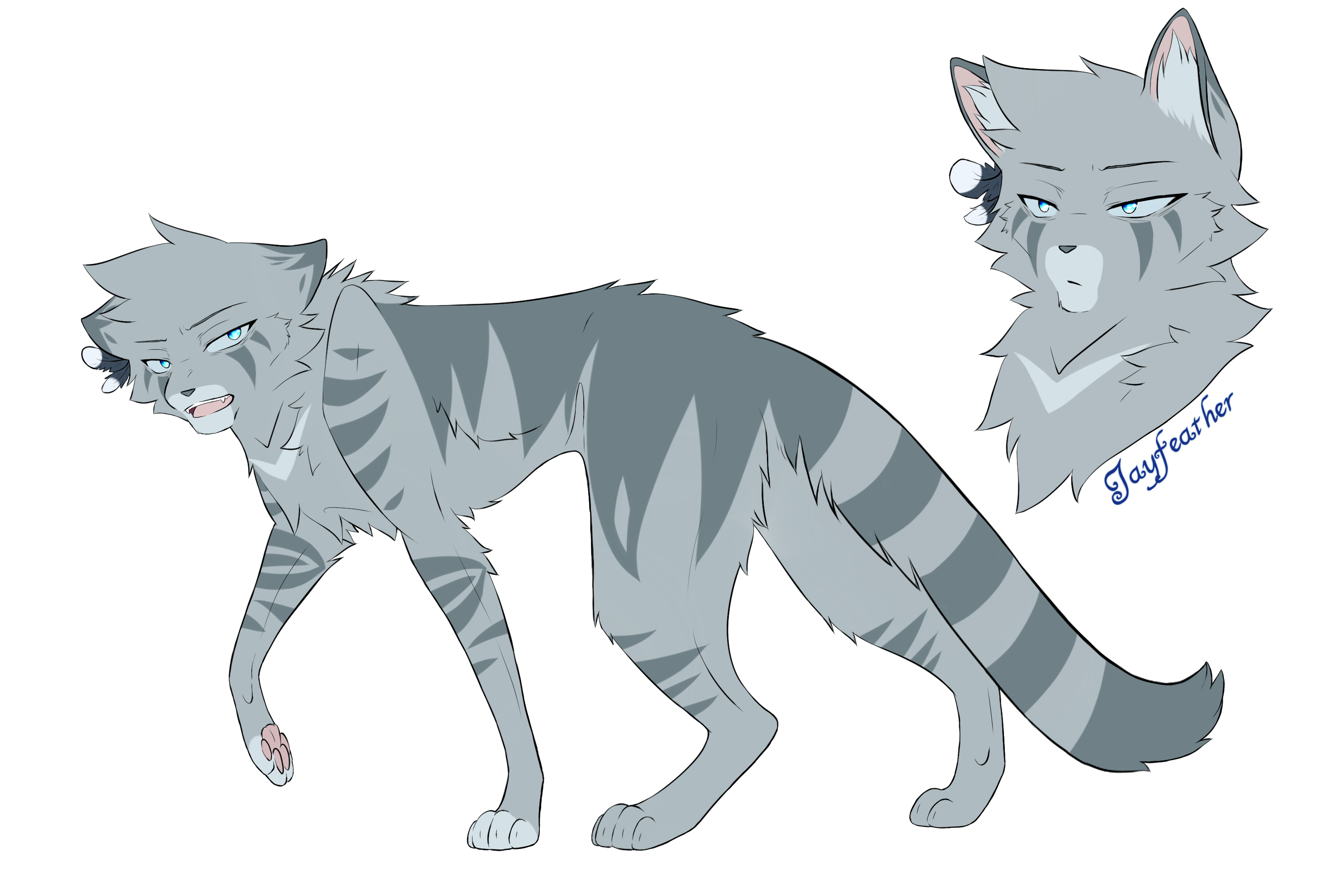 Jayfeather lover 