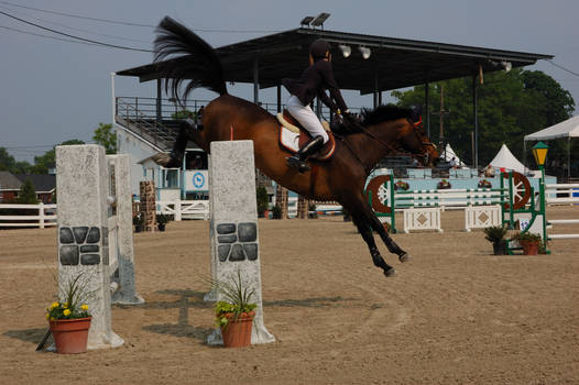 show jumping at devon