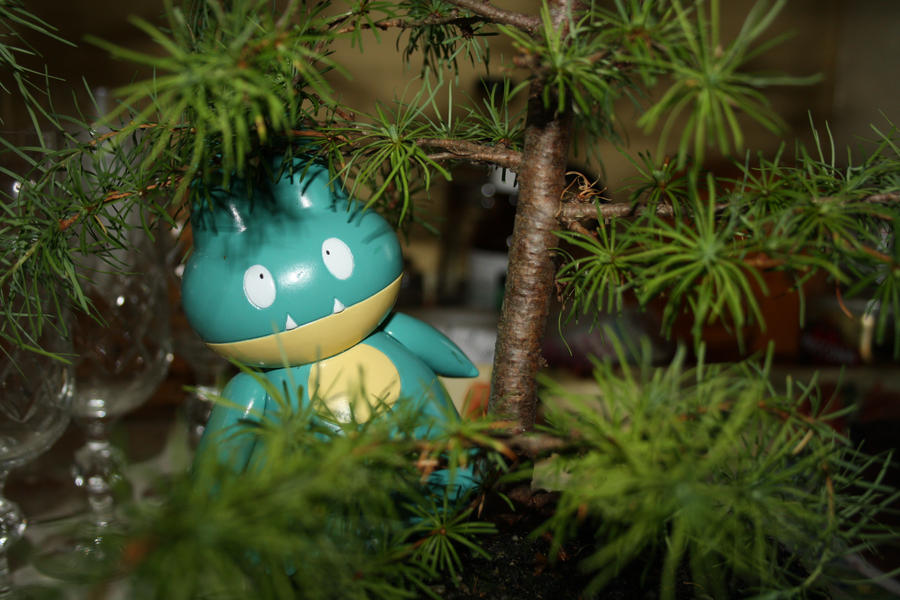 Little shy Munchlax