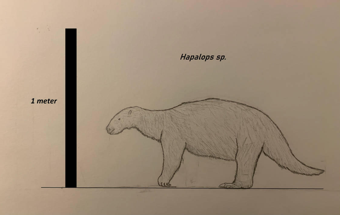Haplops Extinct Sloths #1 - Hapalops by PaleoBean on DeviantArt