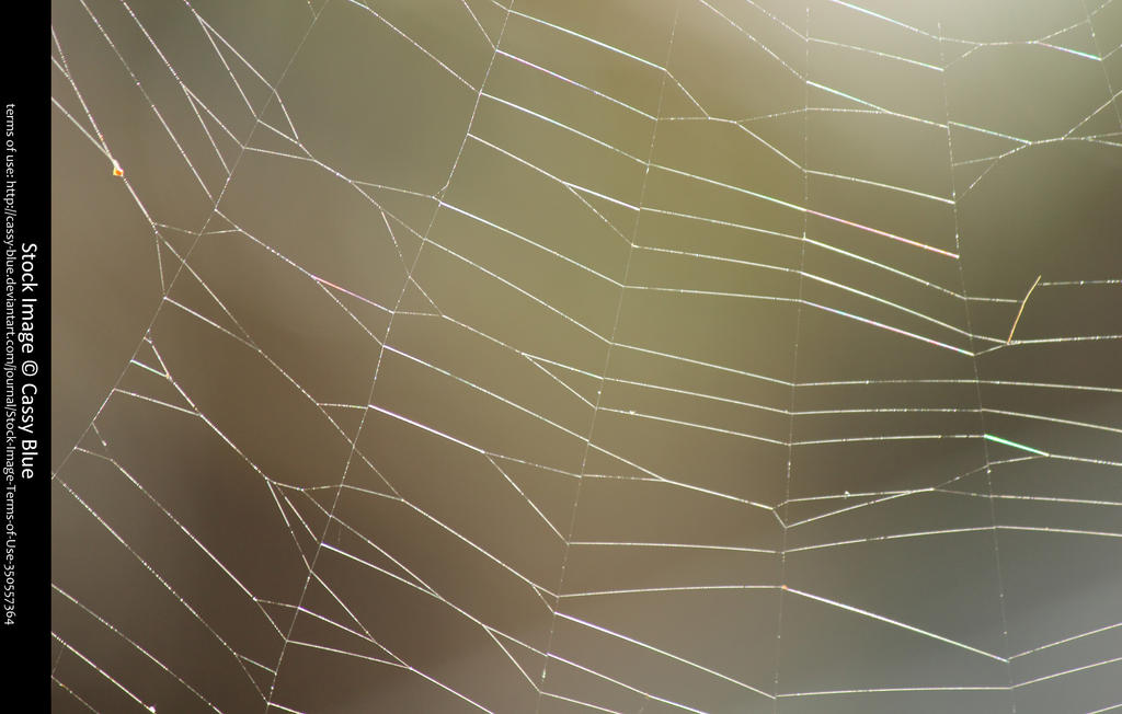 Entangled Web Texture Spider Web Texture 3 by Cassy-Blue on DeviantArt