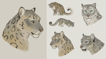 Snow leopards