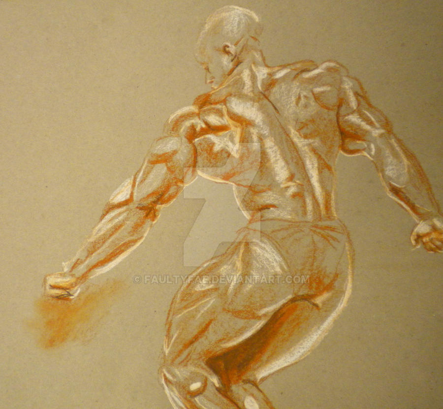 Muscle Figure Drawing by FaultyFae on DeviantArt