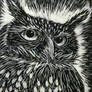 Owl Linoleum Print