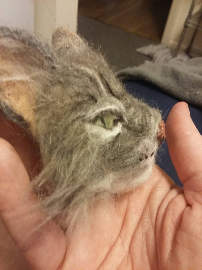 20180817 190641 by Jodee 20180817 190641 by Jodee