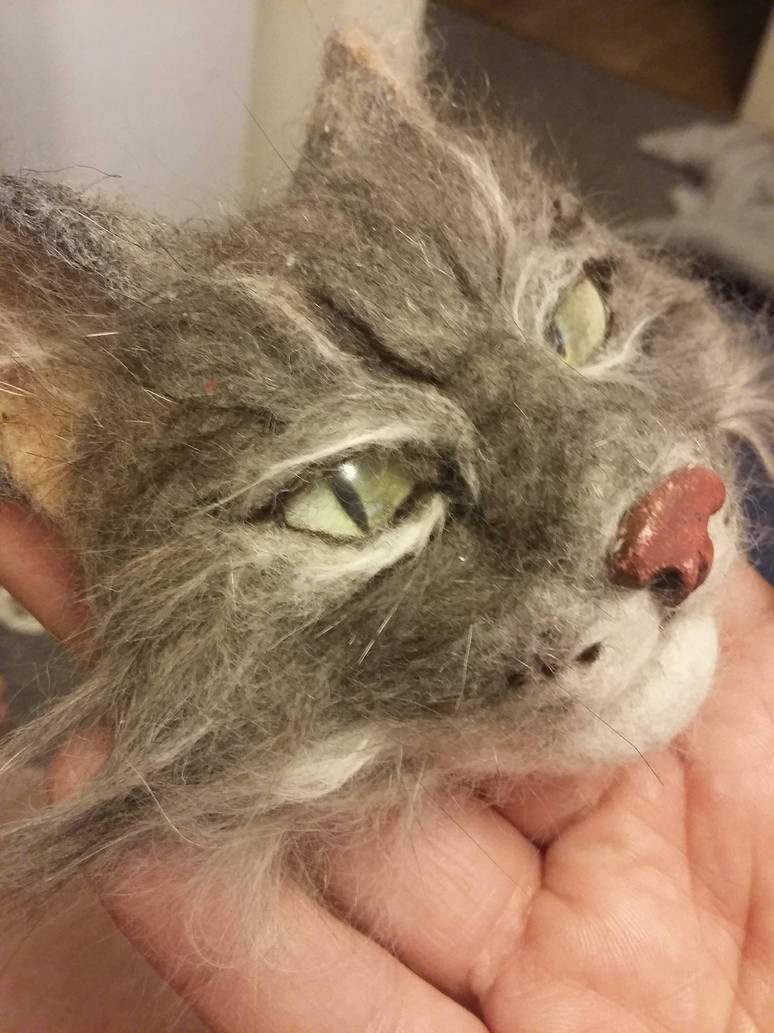 20180817 190625 by Jodee 20180817 190625 by Jodee