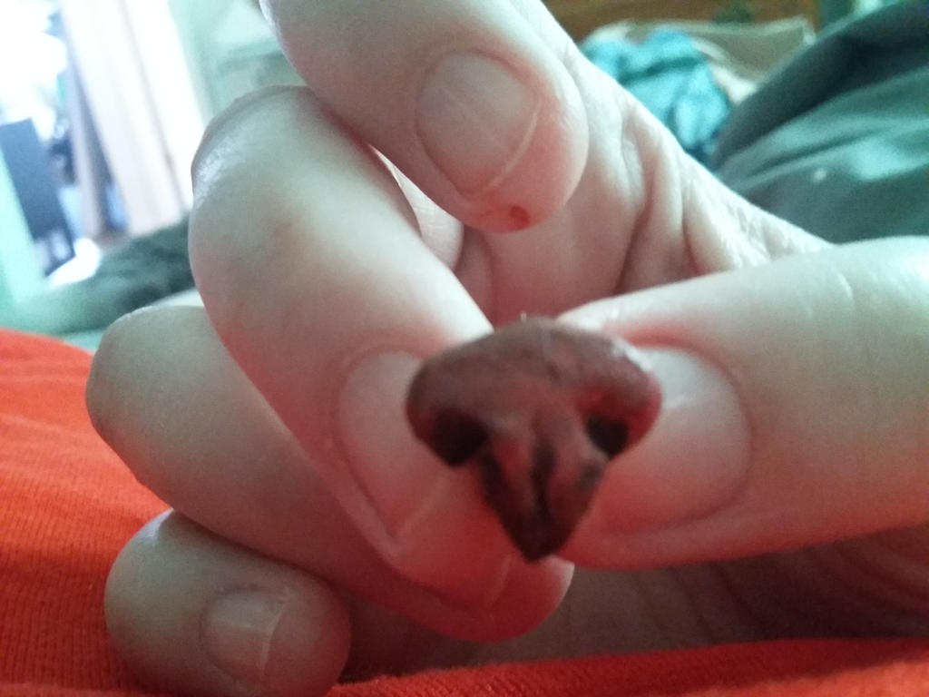 20180810 164242 by Jodee 20180810 164242 by Jodee