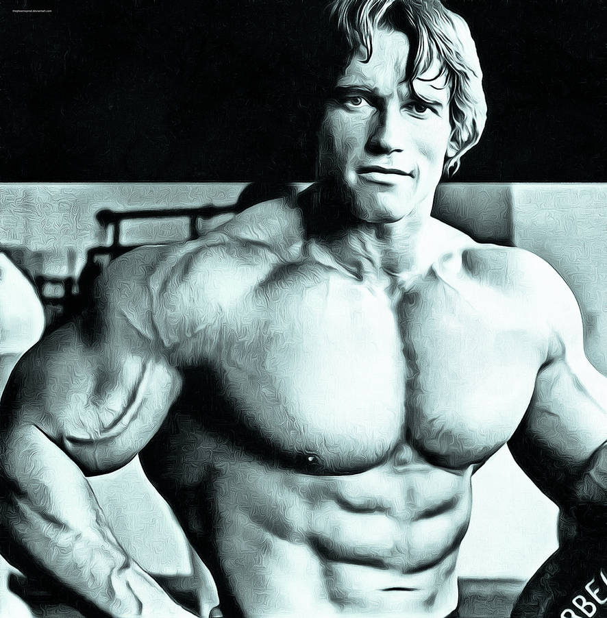 Arnold Schwarzenegger by thephoenixprod on DeviantArt