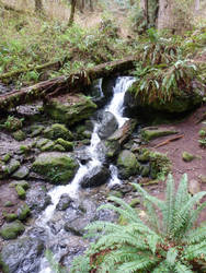 Trillium Falls 2