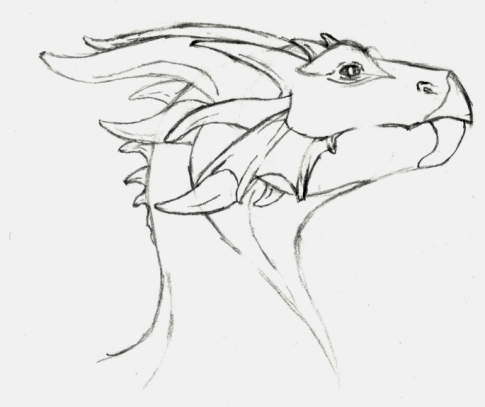 Dragon Head Sideview By Otakiaskogur On Deviantart