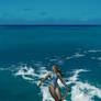 Gliding on Blue