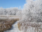 Walking in a Winter Wonderland by hopper195