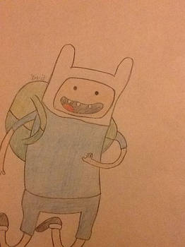 Finn the human