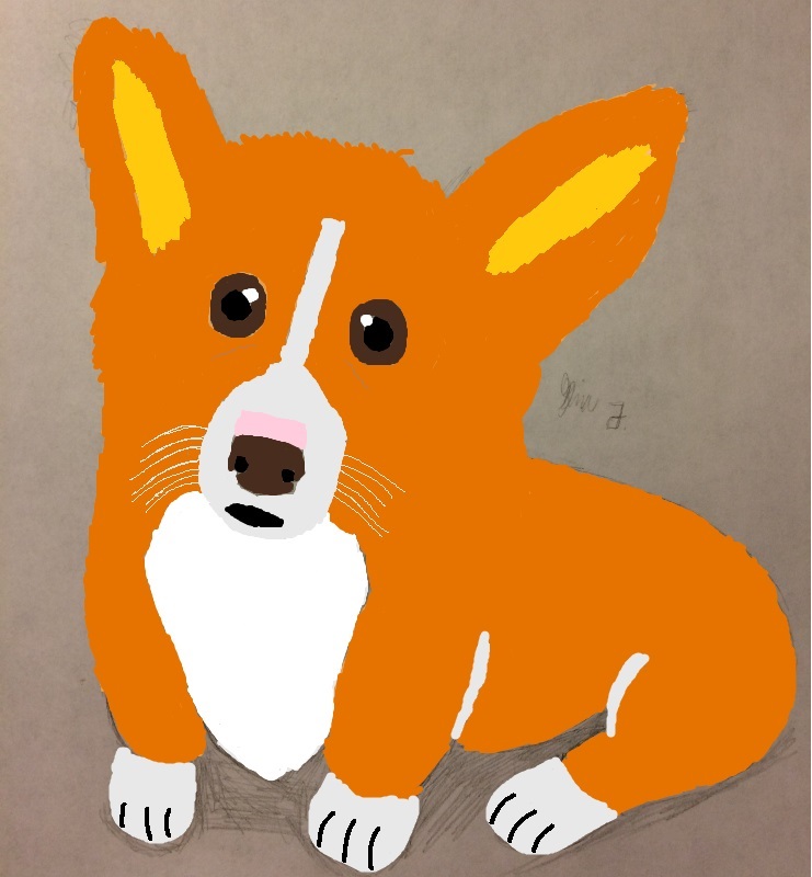 Corgi