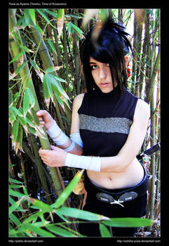 Tenchu Shinobi Taizen Cosplay