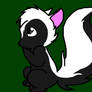 Female Skunk