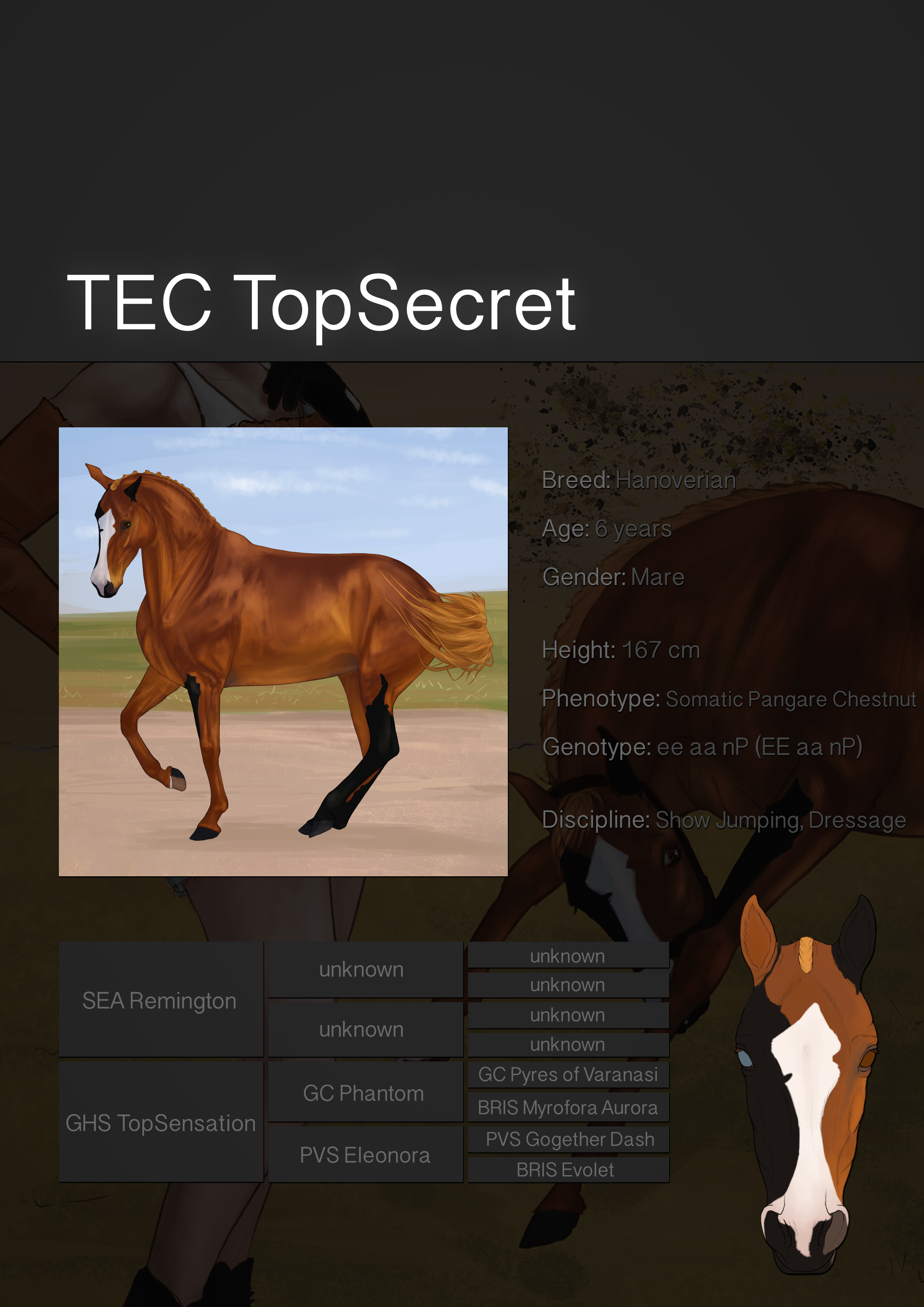 SOLD || TEC TopSecret