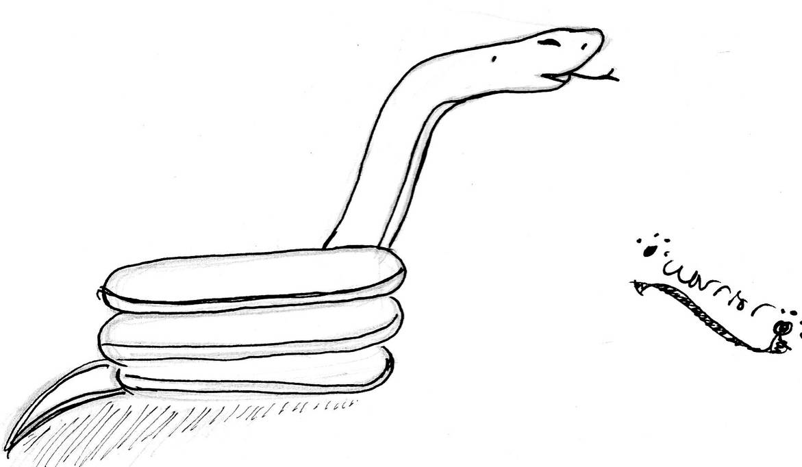 Snake by warriorcatshe on DeviantArt