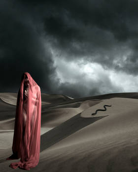 The Serpent And The Shroud