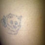 my cat tattoo this was on my upper lay