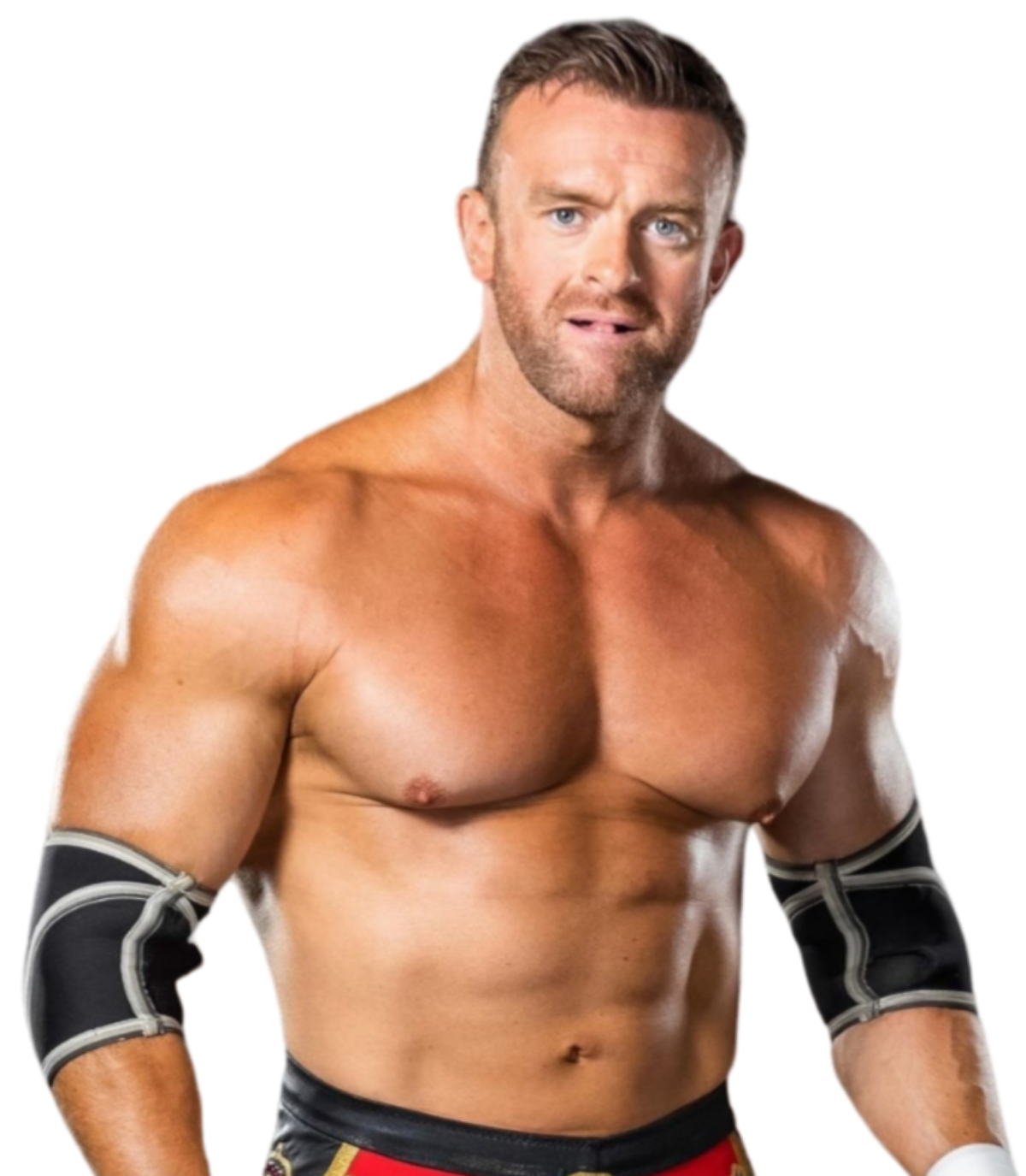 Nick Aldis by KingJerry27 on DeviantArt