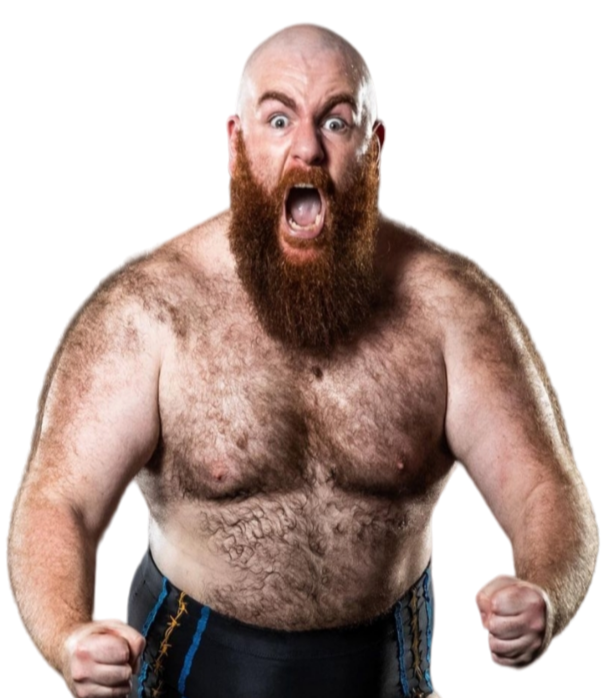 Big Damo by KingJerry27 on DeviantArt