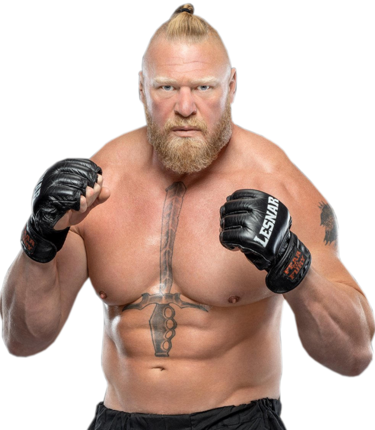 Brock Lesnar By KingJerry27 On DeviantArt