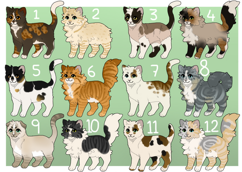 Fluffy cat adopts 9 - OPEN - 2/12