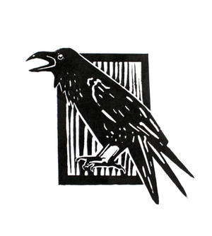 Lino raven