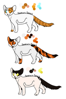 Turkishvan Designs