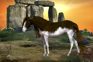 Image for HP