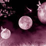 Moons and Faeries