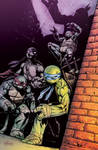 TMNT#33_cover